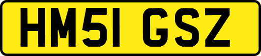 HM51GSZ