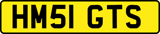 HM51GTS