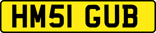 HM51GUB