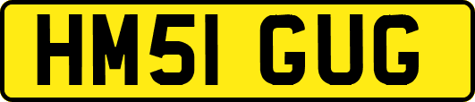 HM51GUG