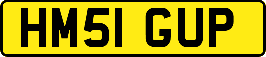 HM51GUP