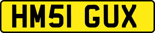 HM51GUX