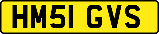 HM51GVS