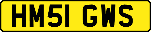 HM51GWS