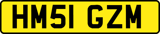 HM51GZM