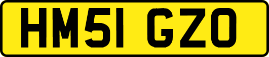 HM51GZO