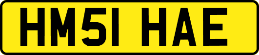 HM51HAE