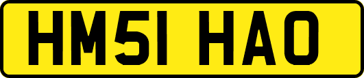 HM51HAO