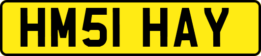 HM51HAY