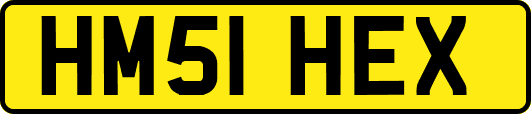 HM51HEX