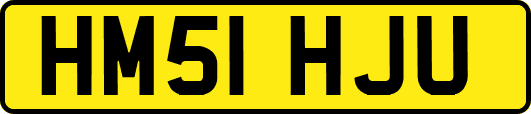 HM51HJU