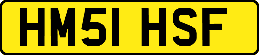 HM51HSF