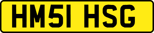 HM51HSG