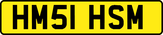 HM51HSM