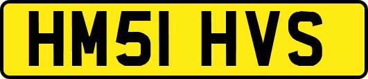 HM51HVS