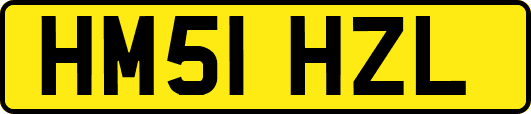 HM51HZL