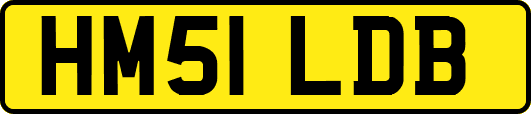 HM51LDB