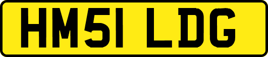 HM51LDG