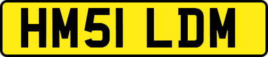 HM51LDM