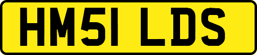 HM51LDS