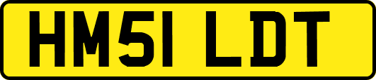 HM51LDT