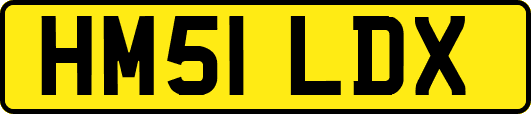 HM51LDX