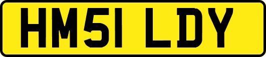 HM51LDY