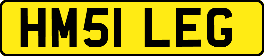 HM51LEG