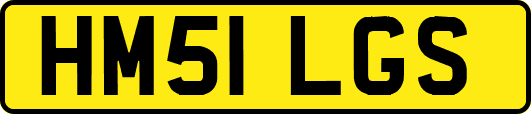 HM51LGS