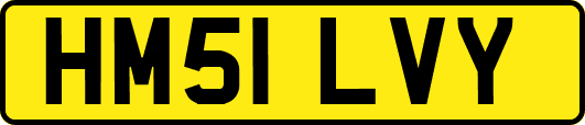 HM51LVY