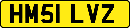 HM51LVZ