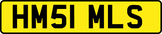 HM51MLS