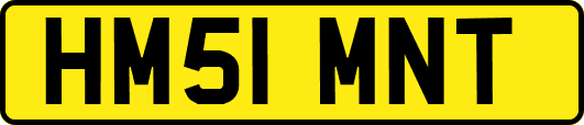 HM51MNT