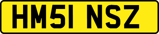 HM51NSZ