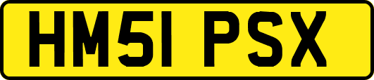HM51PSX