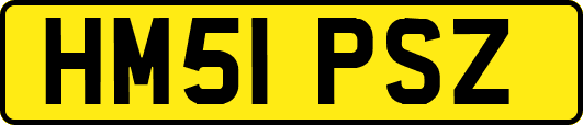 HM51PSZ