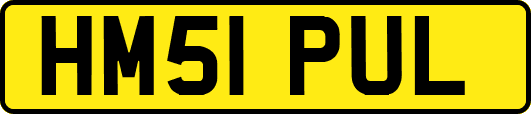 HM51PUL