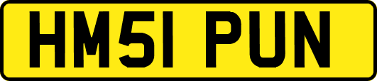 HM51PUN