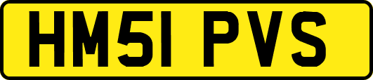 HM51PVS
