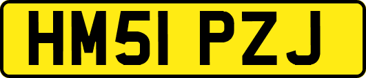 HM51PZJ