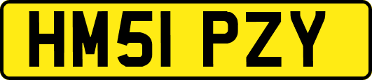 HM51PZY