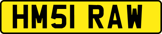 HM51RAW