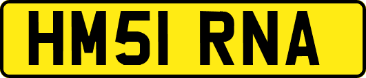 HM51RNA
