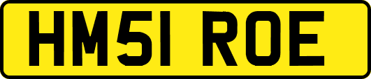HM51ROE