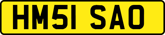 HM51SAO