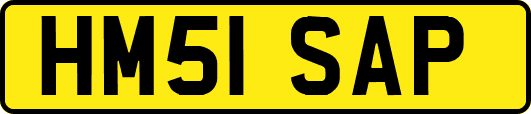 HM51SAP