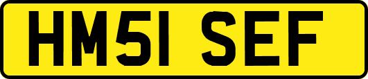HM51SEF