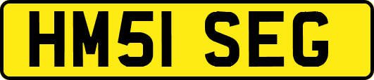 HM51SEG