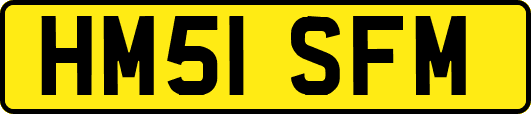 HM51SFM