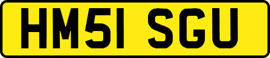 HM51SGU